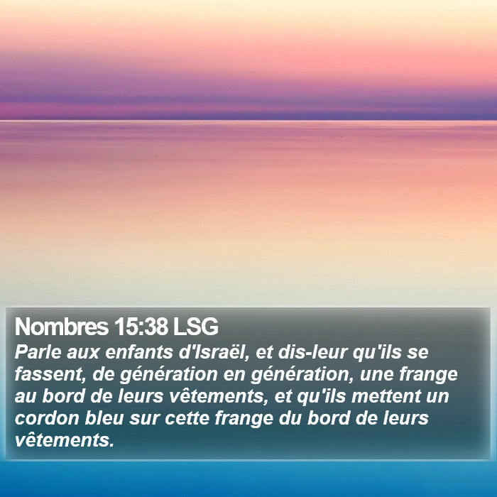 Nombres 15:38 LSG Bible Study