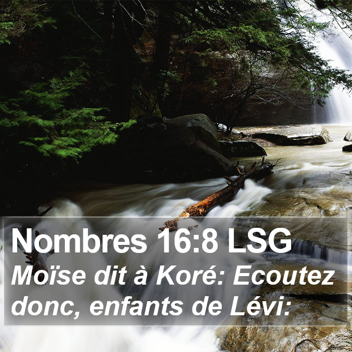 Nombres 16:8 LSG Bible Study