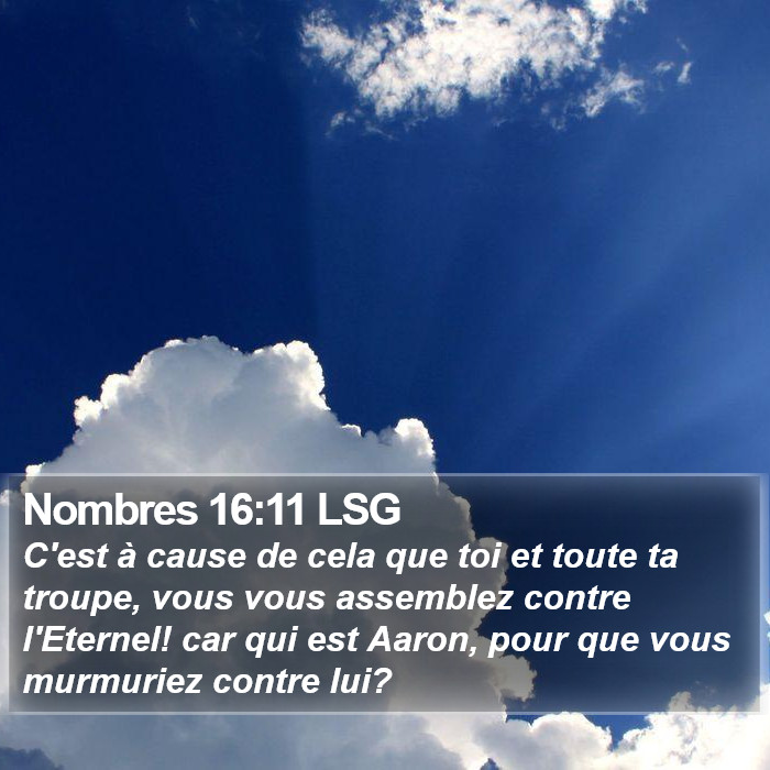 Nombres 16:11 LSG Bible Study