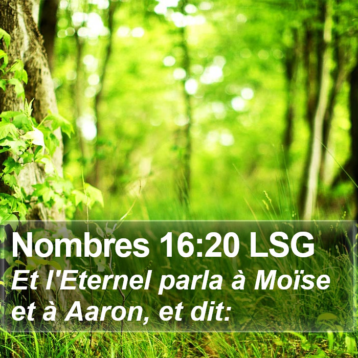 Nombres 16:20 LSG Bible Study