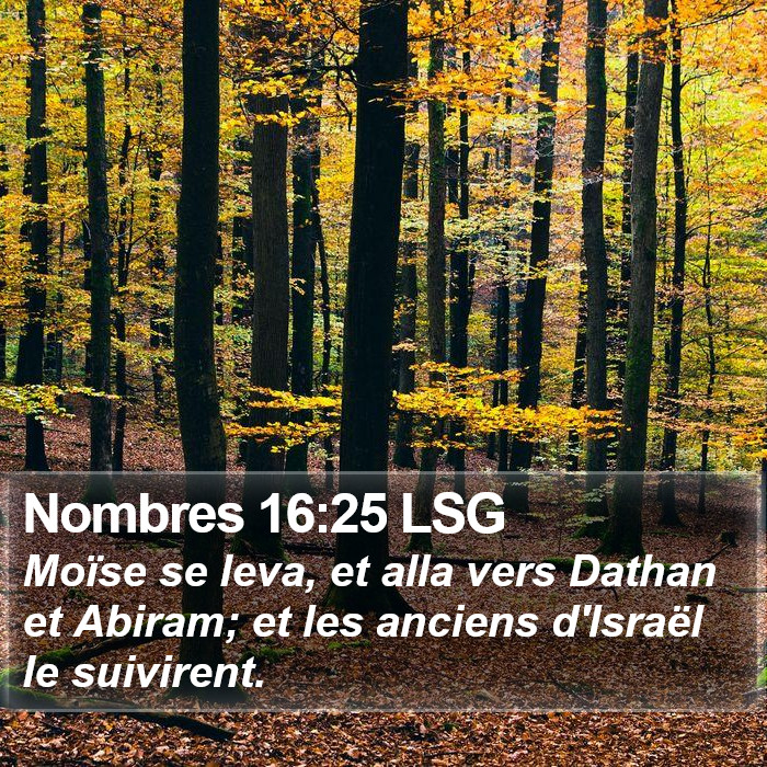 Nombres 16:25 LSG Bible Study