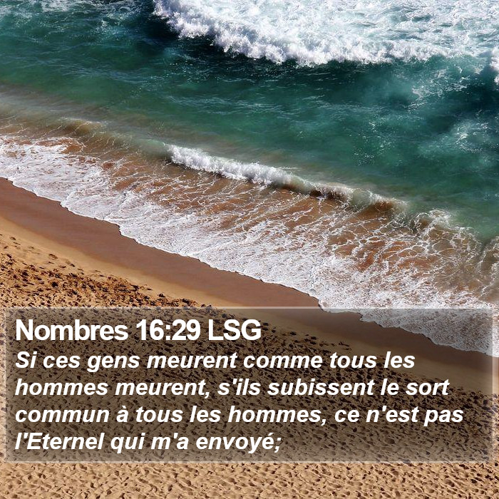 Nombres 16:29 LSG Bible Study