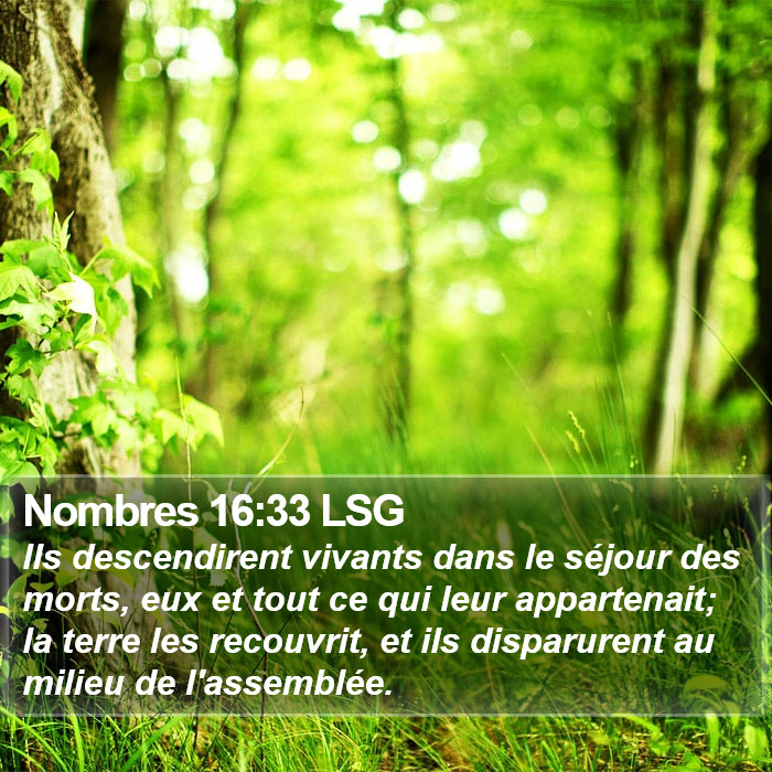 Nombres 16:33 LSG Bible Study