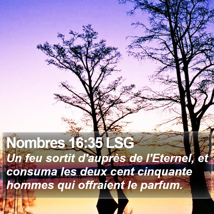 Nombres 16:35 LSG Bible Study