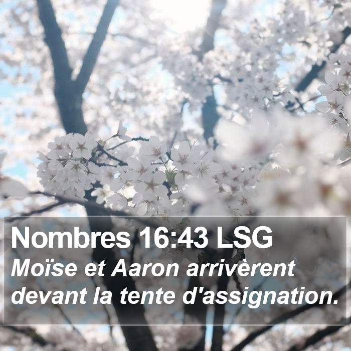 Nombres 16:43 LSG Bible Study