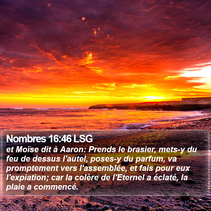 Nombres 16:46 LSG Bible Study