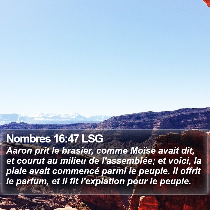 Nombres 16:47 LSG Bible Study