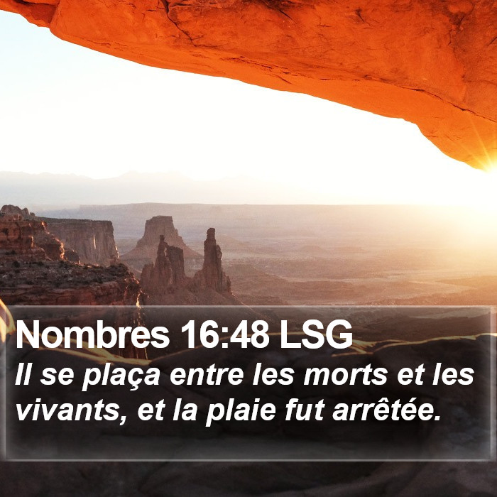 Nombres 16:48 LSG Bible Study