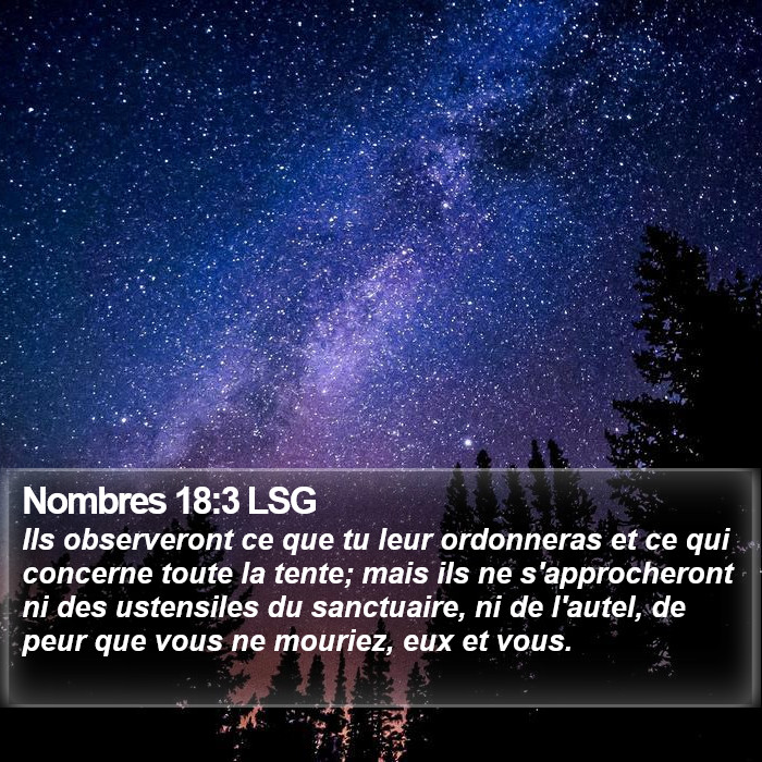 Nombres 18:3 LSG Bible Study