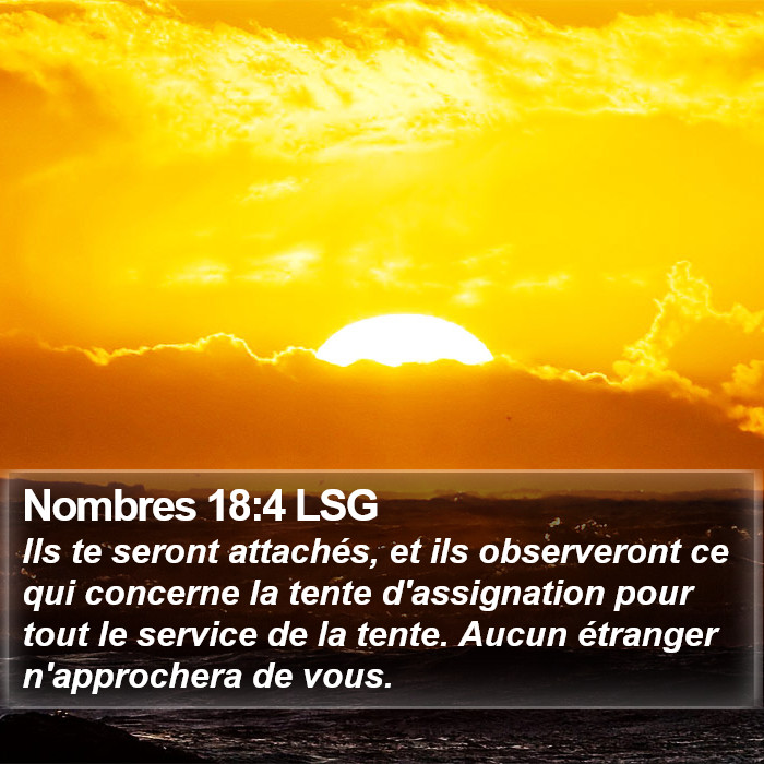 Nombres 18:4 LSG Bible Study