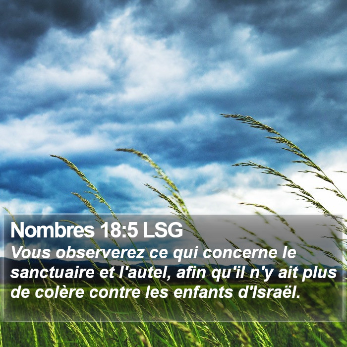 Nombres 18:5 LSG Bible Study