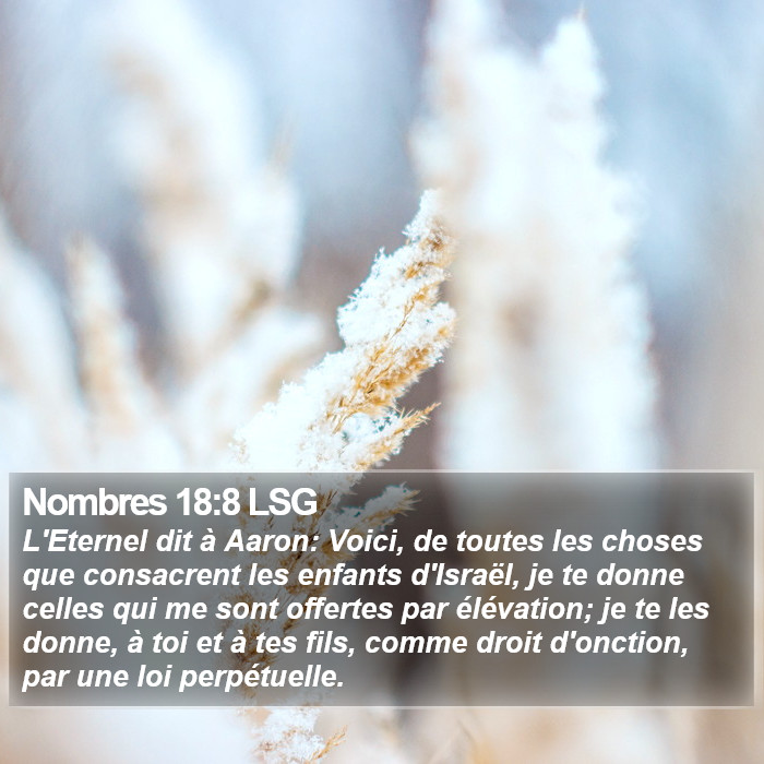 Nombres 18:8 LSG Bible Study