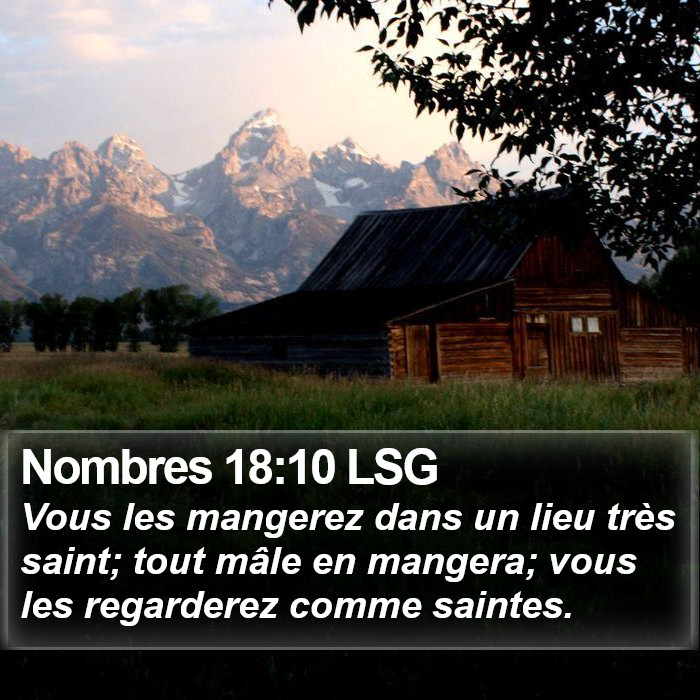 Nombres 18:10 LSG Bible Study