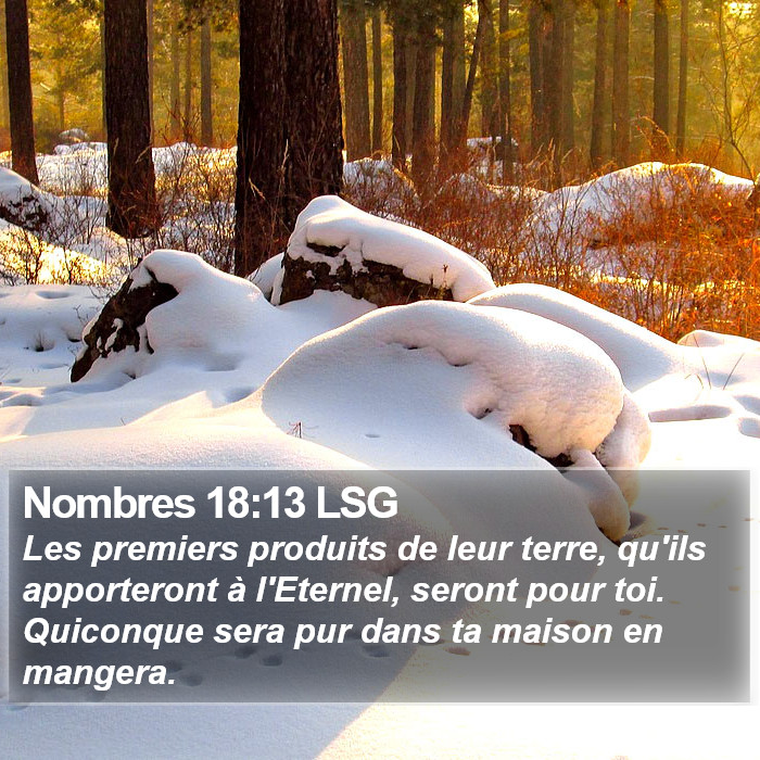 Nombres 18:13 LSG Bible Study