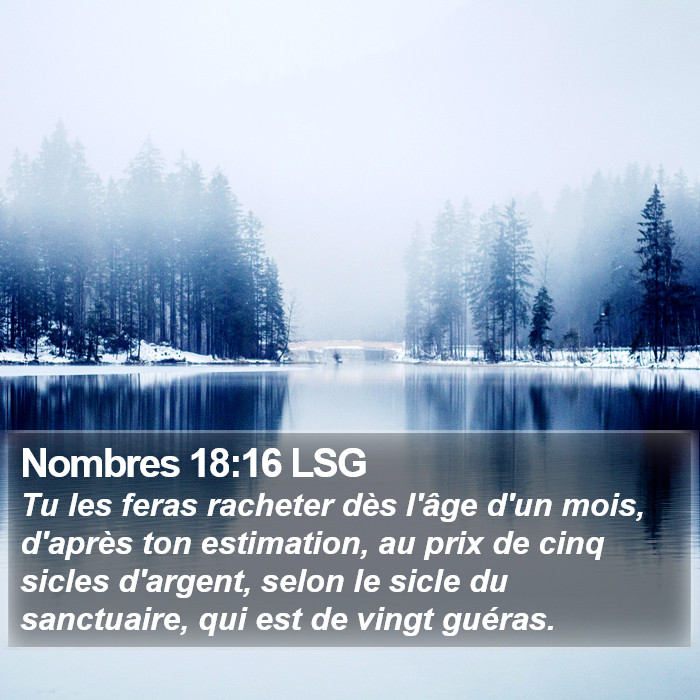 Nombres 18:16 LSG Bible Study