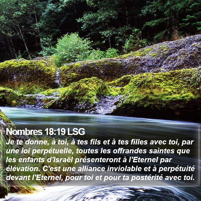Nombres 18:19 LSG Bible Study