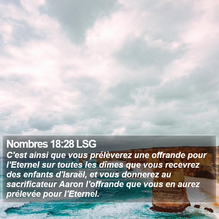 Nombres 18:28 LSG Bible Study