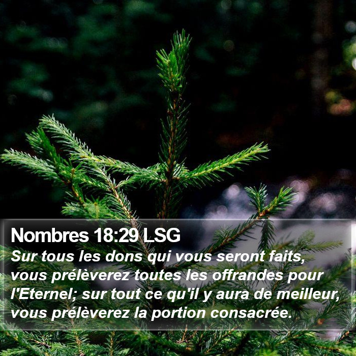Nombres 18:29 LSG Bible Study