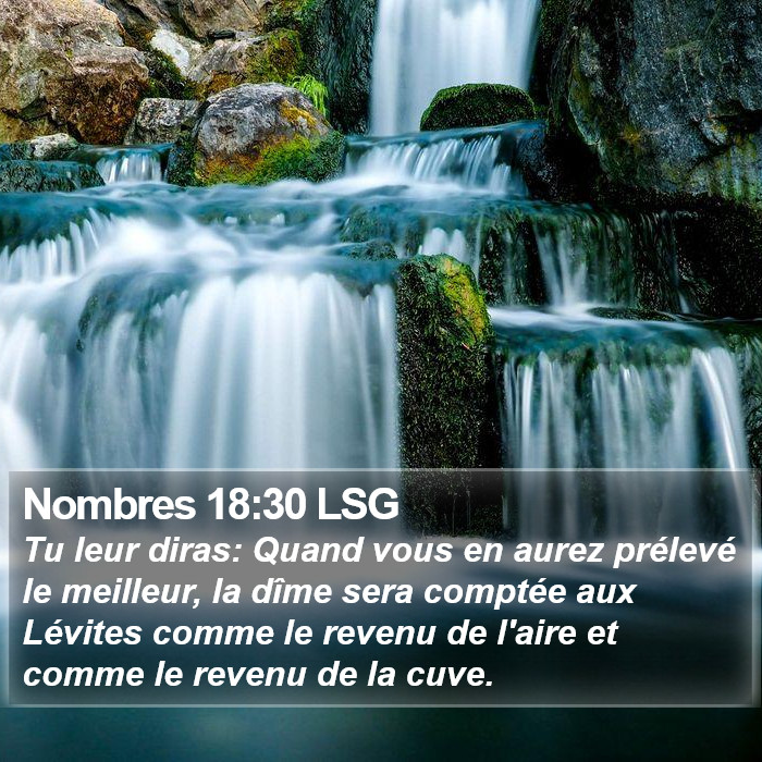 Nombres 18:30 LSG Bible Study
