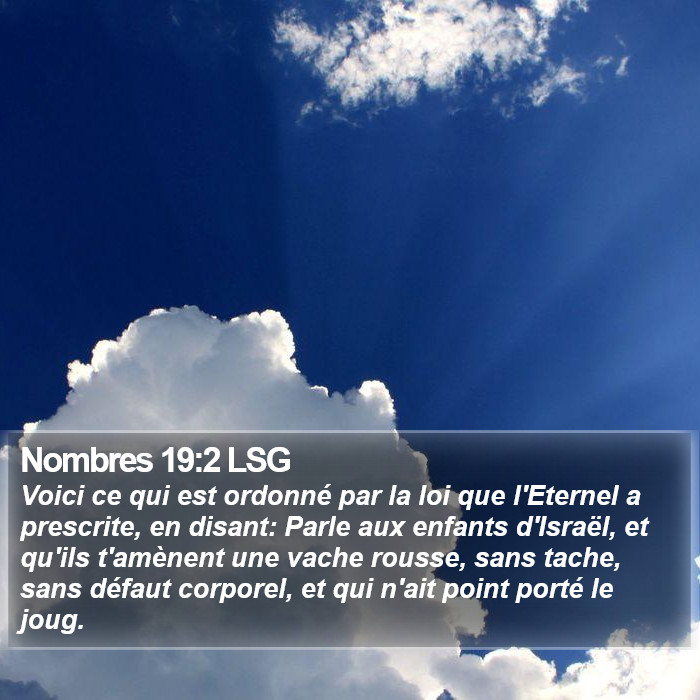 Nombres 19:2 LSG Bible Study