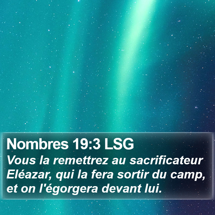 Nombres 19:3 LSG Bible Study