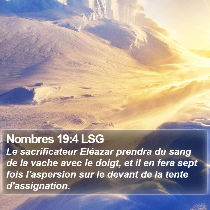 Nombres 19:4 LSG Bible Study