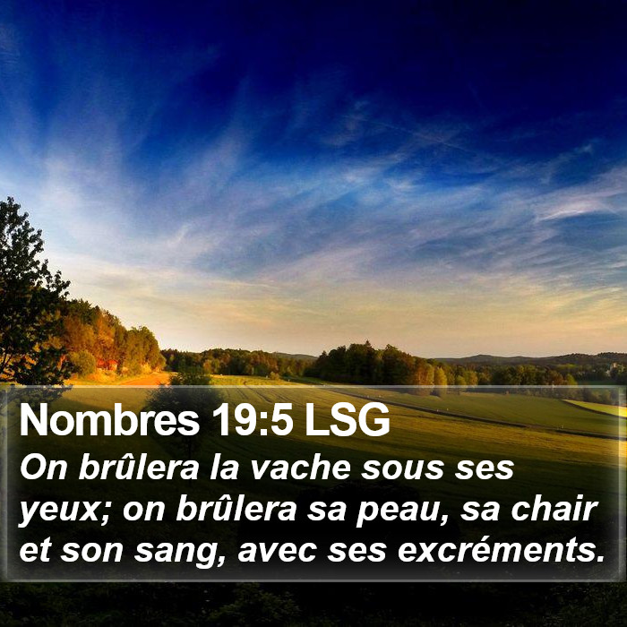 Nombres 19:5 LSG Bible Study