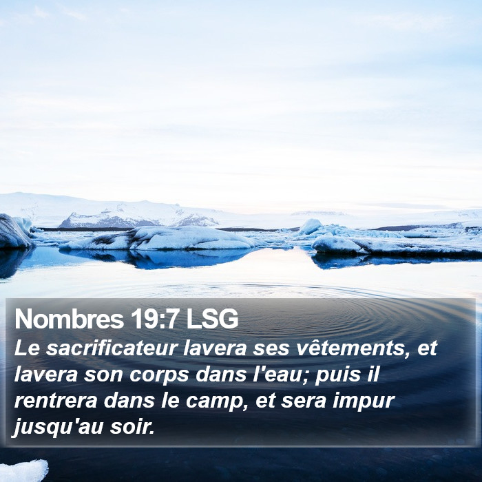 Nombres 19:7 LSG Bible Study