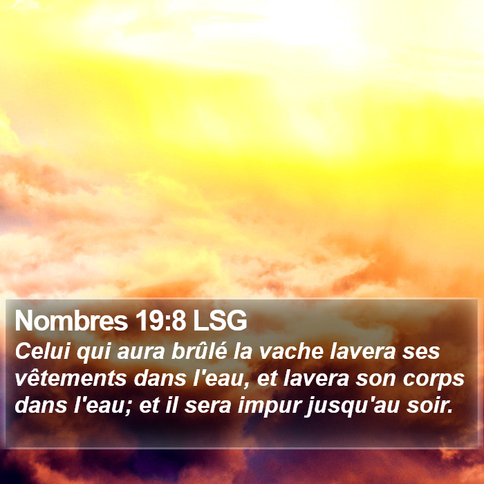 Nombres 19:8 LSG Bible Study