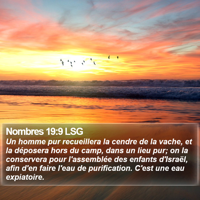 Nombres 19:9 LSG Bible Study