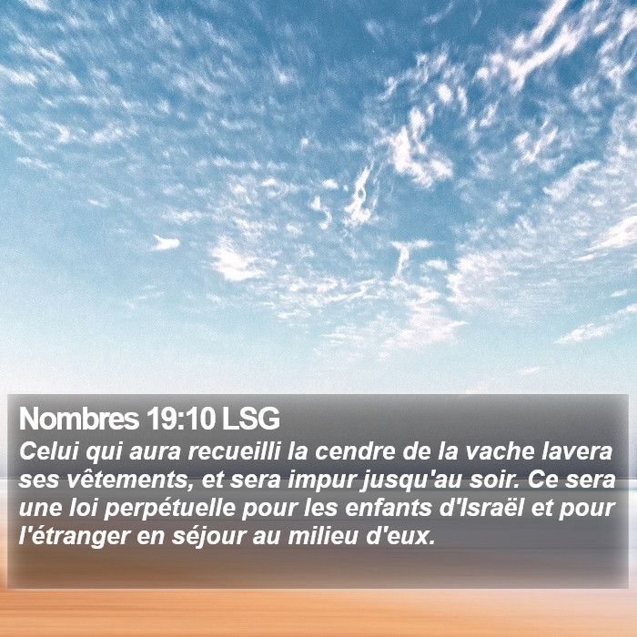 Nombres 19:10 LSG Bible Study