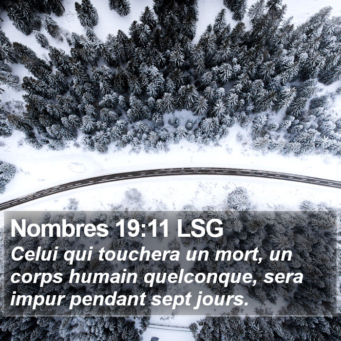 Nombres 19:11 LSG Bible Study