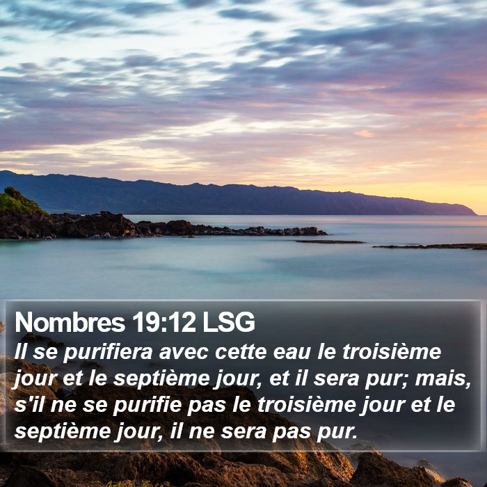 Nombres 19:12 LSG Bible Study