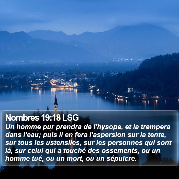 Nombres 19:18 LSG Bible Study