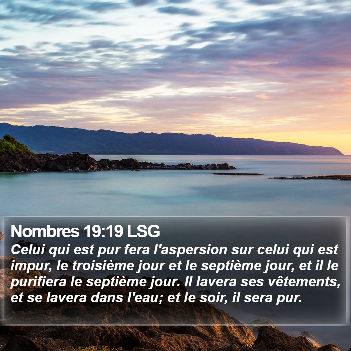 Nombres 19:19 LSG Bible Study