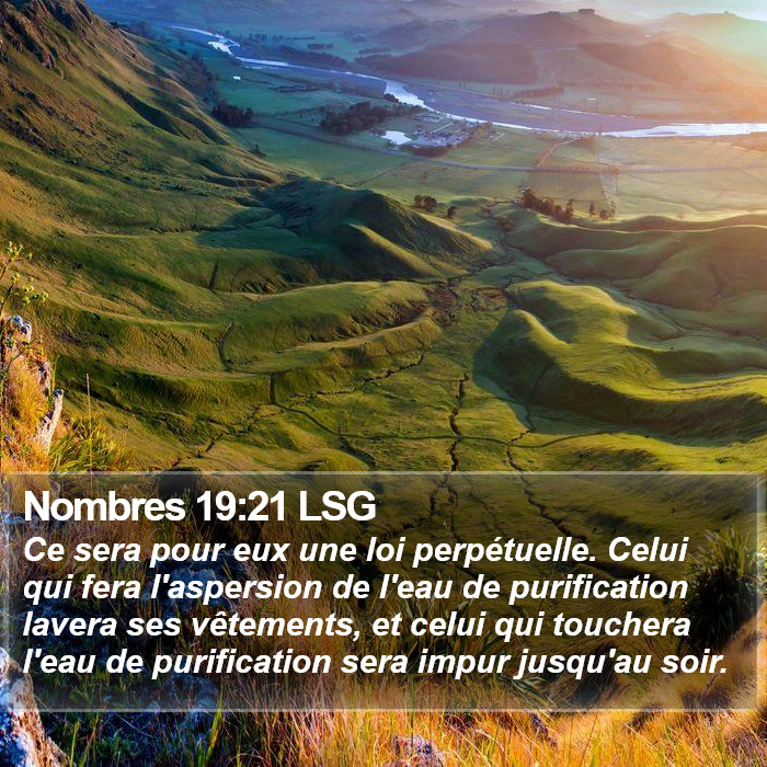 Nombres 19:21 LSG Bible Study
