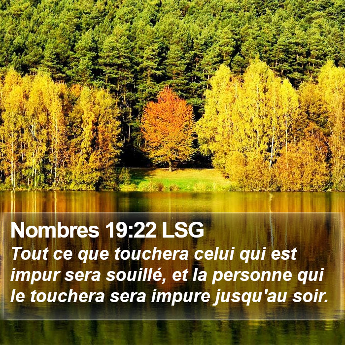 Nombres 19:22 LSG Bible Study