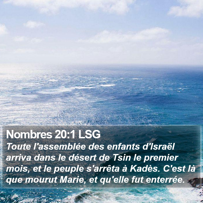 Nombres 20:1 LSG Bible Study