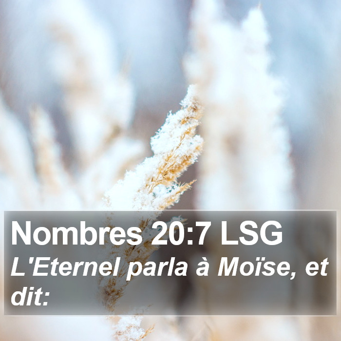 Nombres 20:7 LSG Bible Study