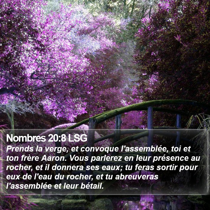 Nombres 20:8 LSG Bible Study