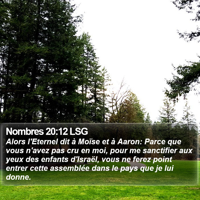 Nombres 20:12 LSG Bible Study