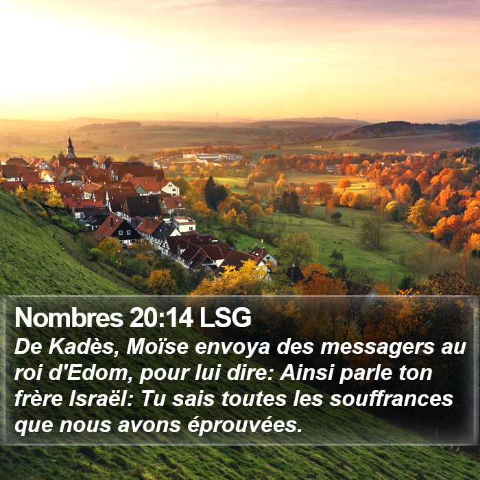 Nombres 20:14 LSG Bible Study