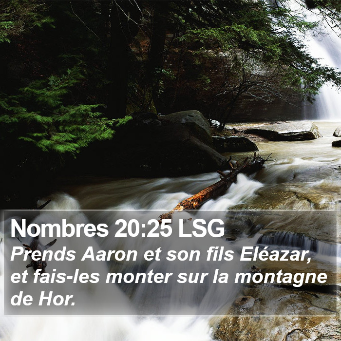 Nombres 20:25 LSG Bible Study