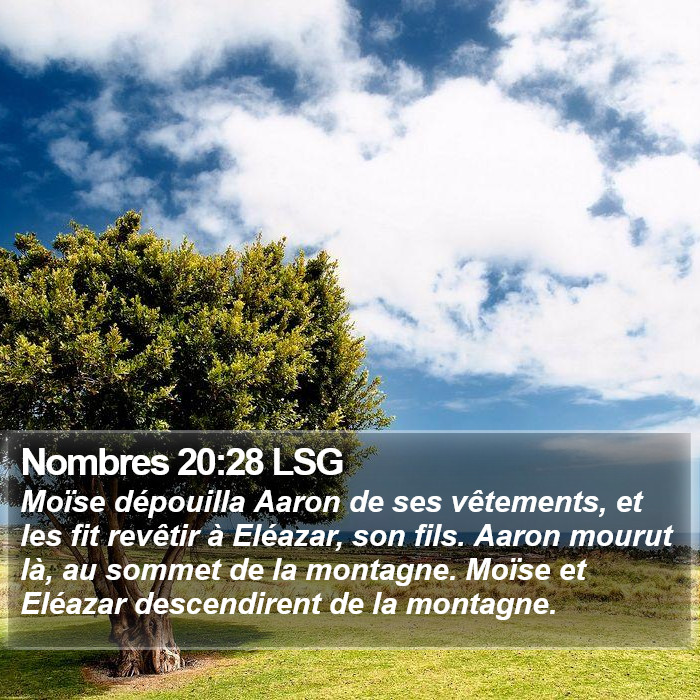 Nombres 20:28 LSG Bible Study
