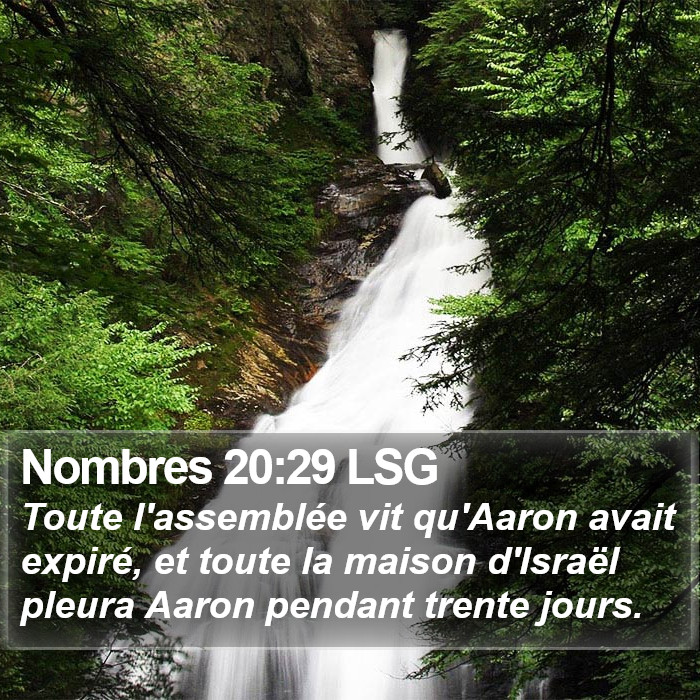 Nombres 20:29 LSG Bible Study