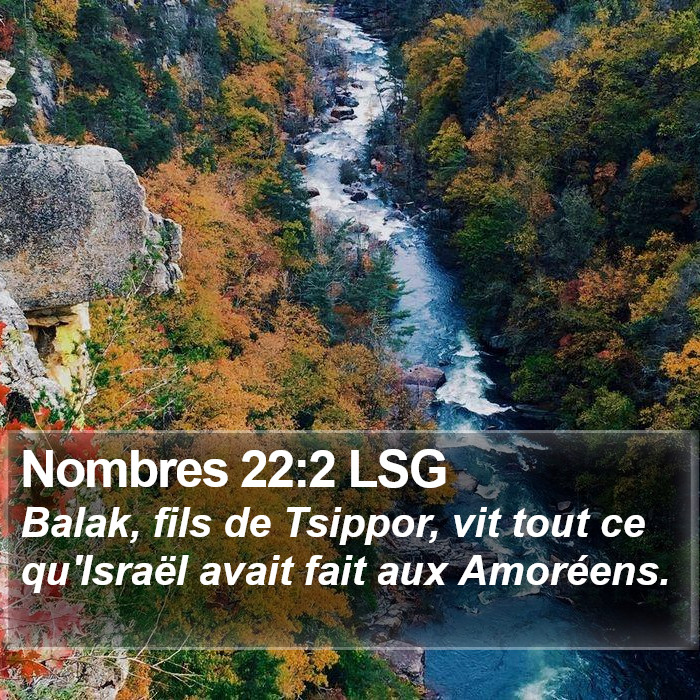 Nombres 22:2 LSG Bible Study