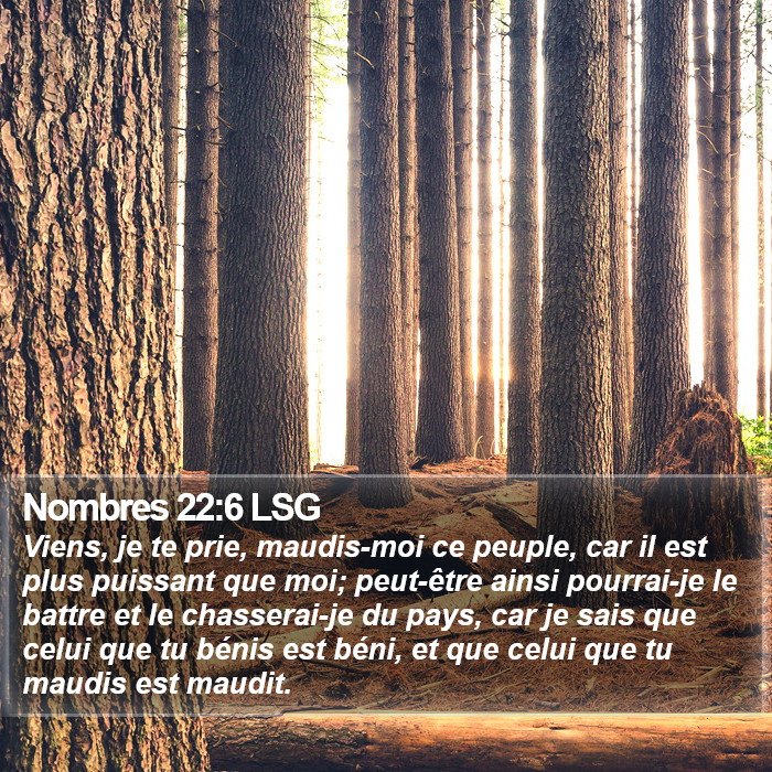 Nombres 22:6 LSG Bible Study