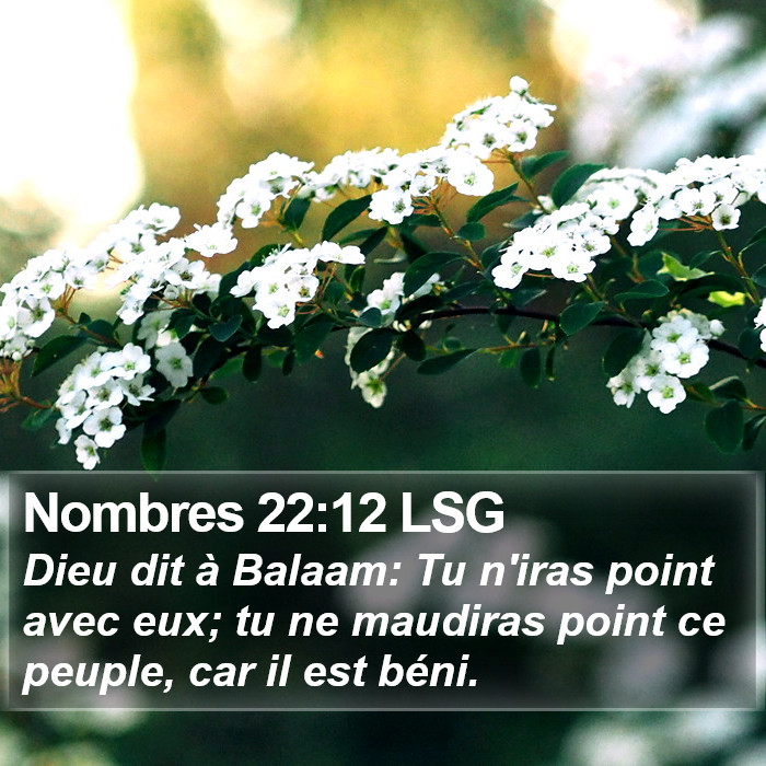Nombres 22:12 LSG Bible Study