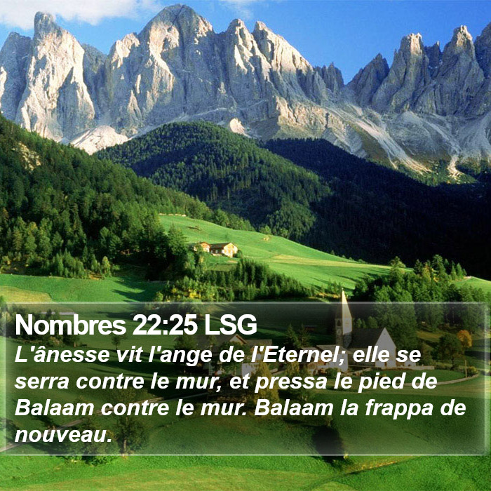 Nombres 22:25 LSG Bible Study