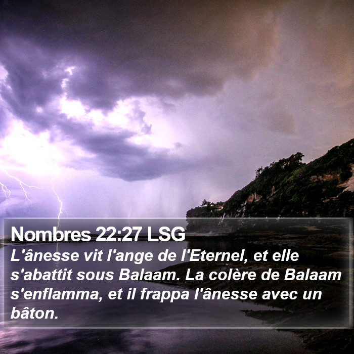 Nombres 22:27 LSG Bible Study